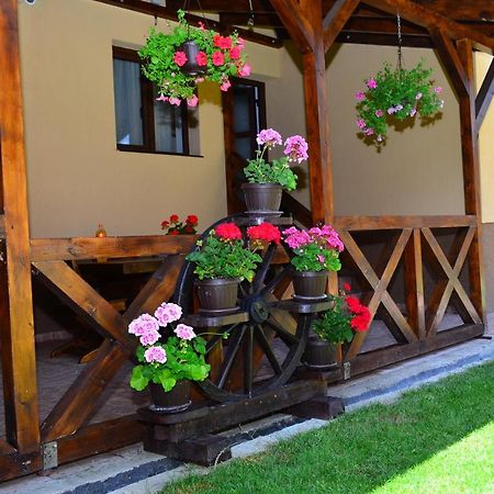 Casa Pricas Villa Alsómoécs Kültér fotó