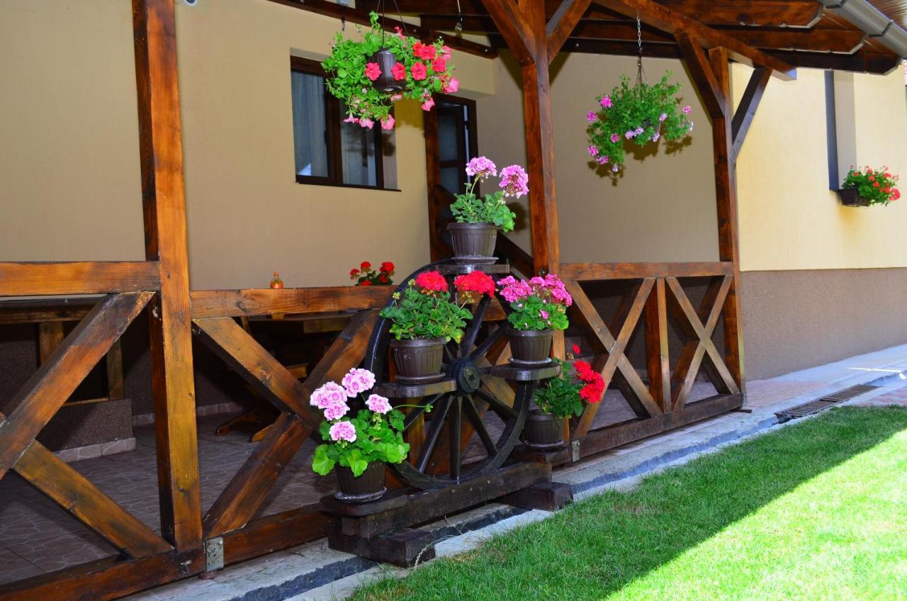 Casa Pricas Villa Alsómoécs Kültér fotó